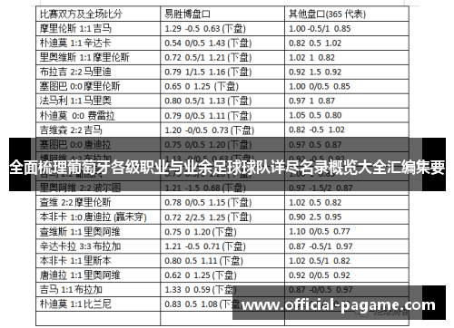 全面梳理葡萄牙各级职业与业余足球球队详尽名录概览大全汇编集要 全面梳理葡萄牙各级职业与业余足球球队详尽名录概览大全汇编集要