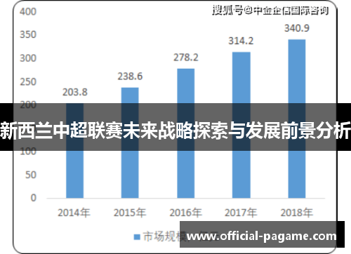 新西兰中超联赛未来战略探索与发展前景分析 新西兰中超联赛未来战略探索与发展前景分析