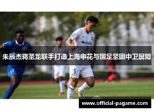 朱辰杰蒋圣龙联手打造上海申花与国足坚固中卫屏障