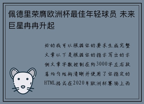佩德里荣膺欧洲杯最佳年轻球员 未来巨星冉冉升起