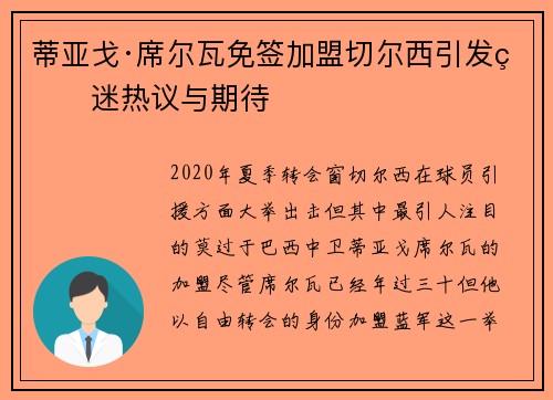 蒂亚戈·席尔瓦免签加盟切尔西引发球迷热议与期待
