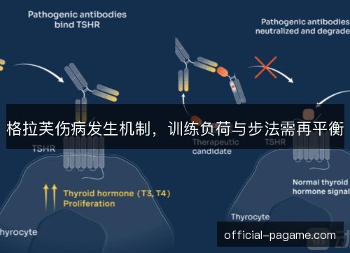格拉芙伤病发生机制,训练负荷与步法需再平衡 格拉芙伤病发生机制,训练负荷与步法需再平衡