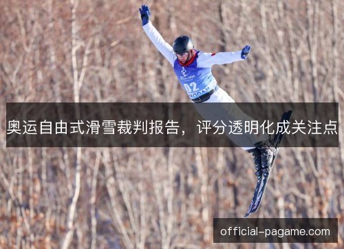奥运自由式滑雪裁判报告，评分透明化成关注点