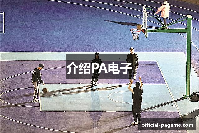 介绍PA电子